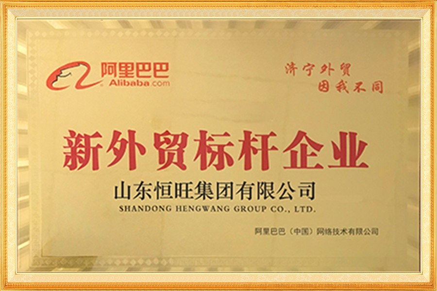 阿裏巴巴新外(wai)貿标杆企業